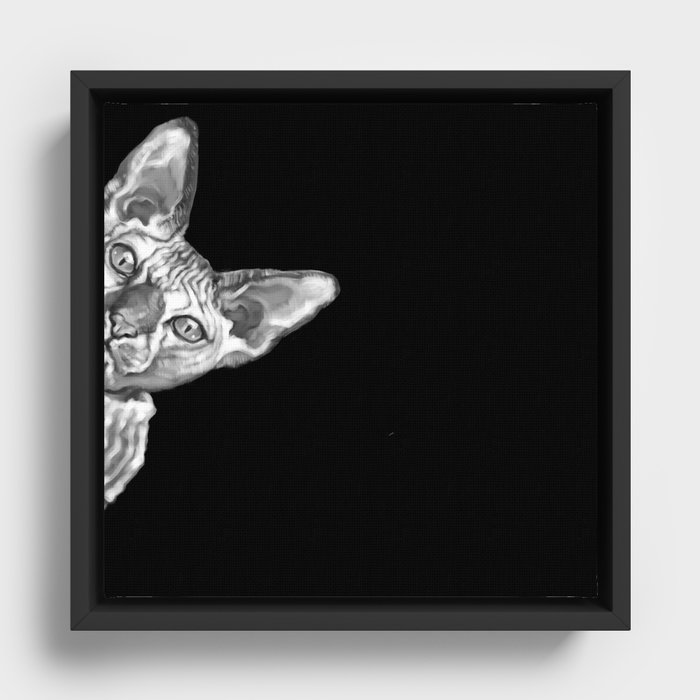 Framed Canvas