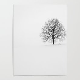 WITHERED TREE SURROUNDED WITH SNOW IN THE MORNING Poster