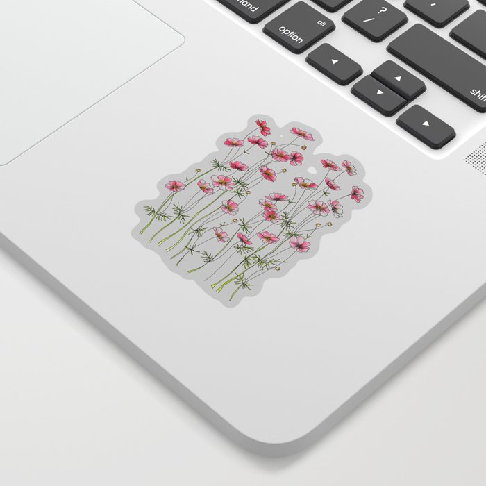 Pink Cosmos Flowers Sticker