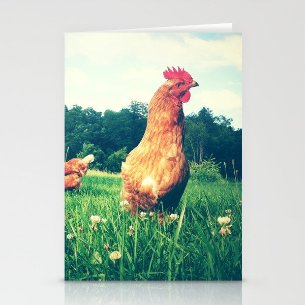 The Life of a Chicken Stationery Cards