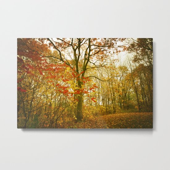 Looking For Solitude Metal Print