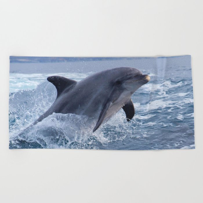 dolphin beach towel