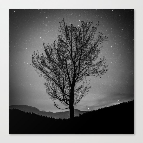 Lost lake solo tree Canvas Print