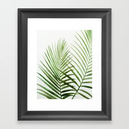 Fresh Palm Fronds Watercolor Framed Art Print