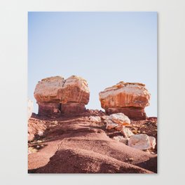 Rock Friends in Utah Canvas Print