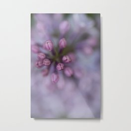 Lilacs Metal Print