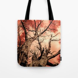 The Reaching Red Branch Tree Art in Nature Modern Forest Abstract Tote Bag