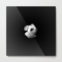 white flower 16- black and white Metal Print | Floral, Summer, Seed, Petal, Spring, Greenery, Painting, Bloom, Plant, Flowery 