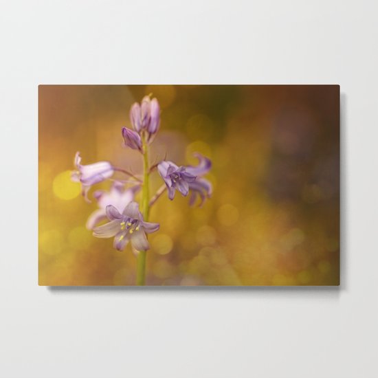 There were lots of them.... this time in bokeh bubbles Metal Print
