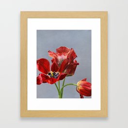 Red Tulips Framed Art Print