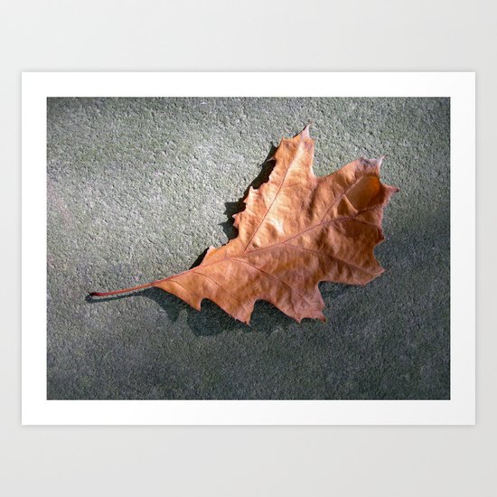 old leaf II Art Print