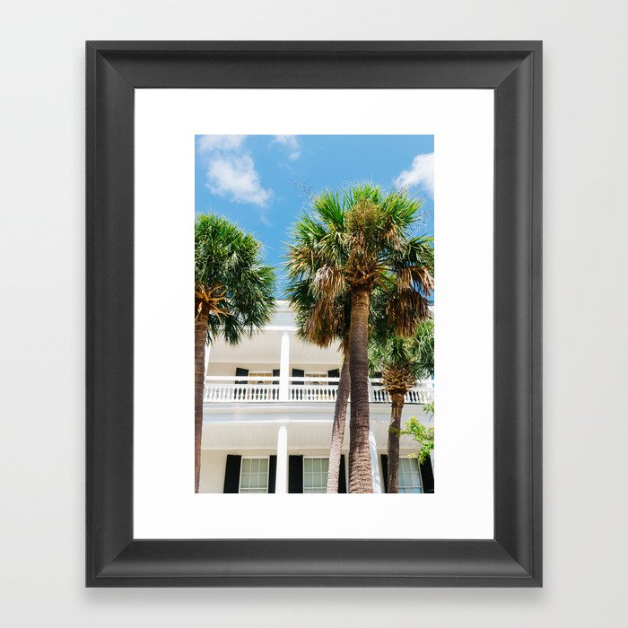 Charleston Palm Tree V Framed Art Print