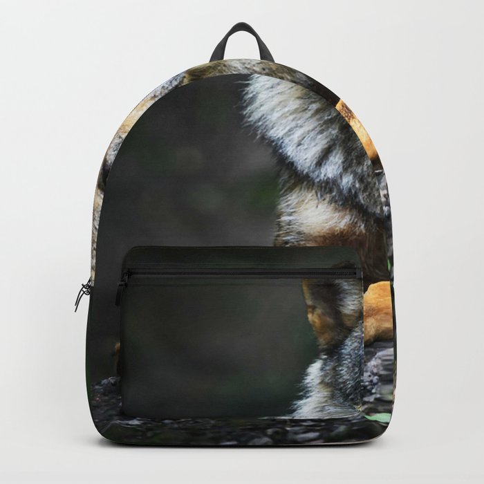 Gray Wolf Canis Lupus Summer Light 59 Backpack