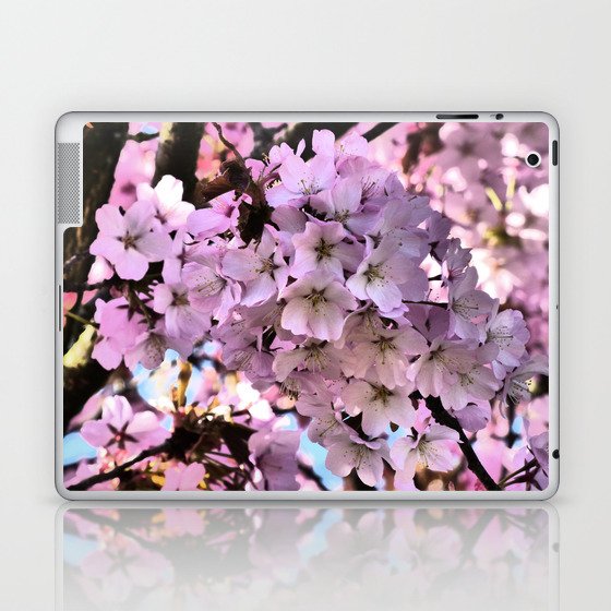 Spring Pink Cherry Blossom in I Art Laptop & iPad Skin