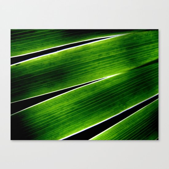 White Lines Canvas Print