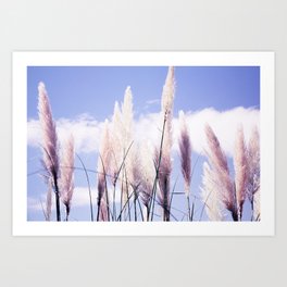Pampas Grass, Blue Sky, Peaceful Nature Print | Monaco travel photography | Fine art print Art Print