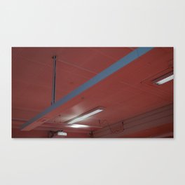 Pink and Blue Ceiling Canvas Print