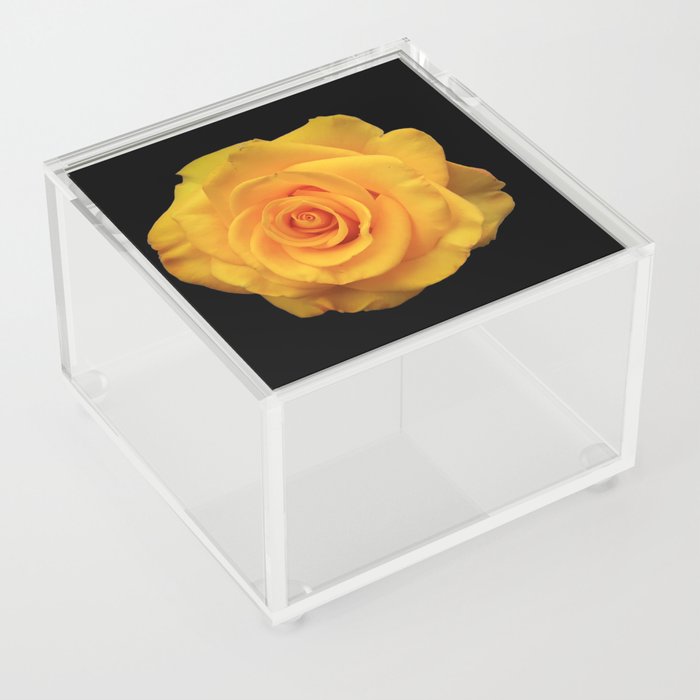 Romantic single yellow rose Acrylic Box