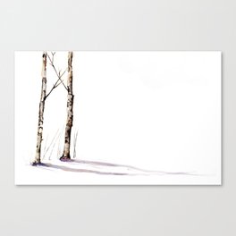 Birch Trees in January Canvas Print