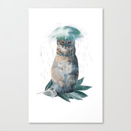 Rain Cat Canvas Print