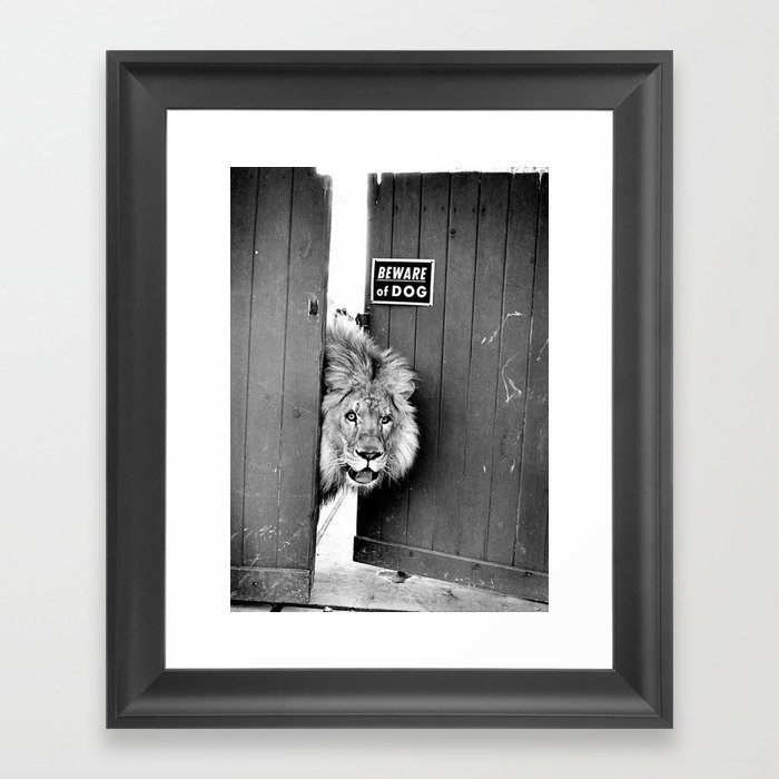 Beware of Dog black and white photograph of attack lion humorous black and white photography Framed Art Print