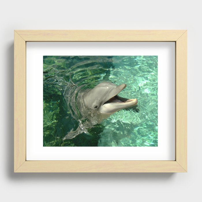 Smiling Dolphin Recessed Framed Print