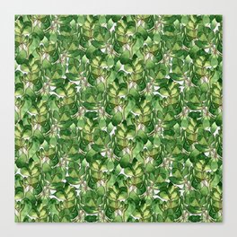 Botanical Nature Green Pattern Canvas Print