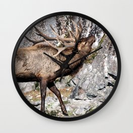 Wapiti Bugling: Bull Elk Wall Clock