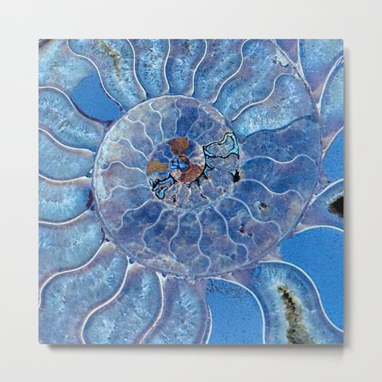 Blue seashell -mother-of-pearl - Beautiful backdrop Metal Print