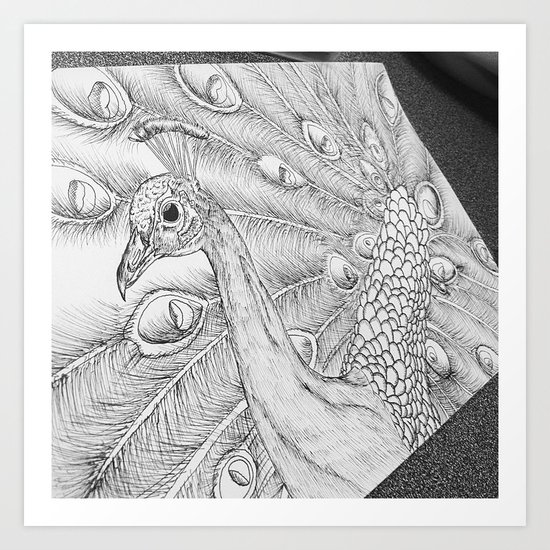 Peacock Art Print
