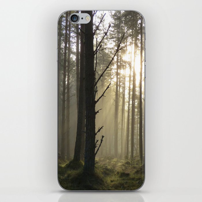 Winter Sun Beams in a Scottish Forest iPhone Skin