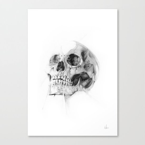 Skull 52 Canvas Print