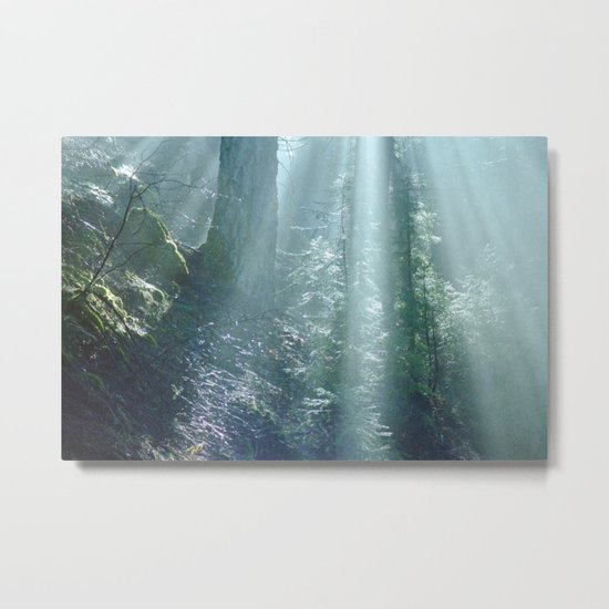 Misty Forest in Northern California Metal Print