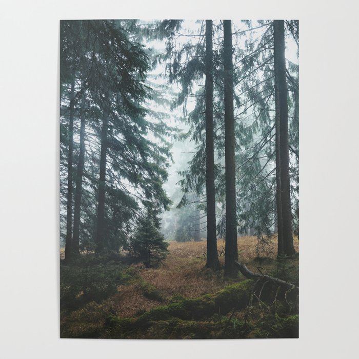 Deep In The Woods // Wild Romantic Misty Fairytale Wilderness Forest With Trees Covered In Blue Fog Poster