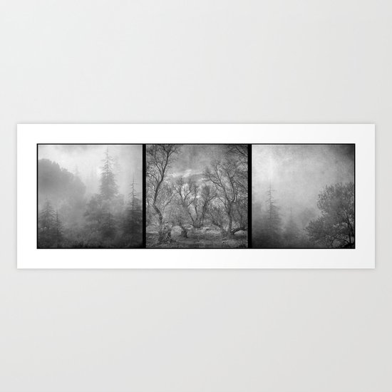 "Misty trees tryptic" Art Print