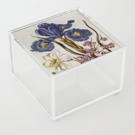  Antique blue English Iris, pink Delphinium, white Narcissus 1680   Acrylic Box