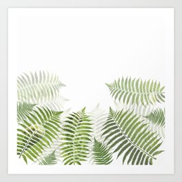 Fern Leaves Pattern Art Print