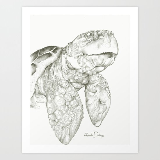 Tulisa the Turtle Art Print
