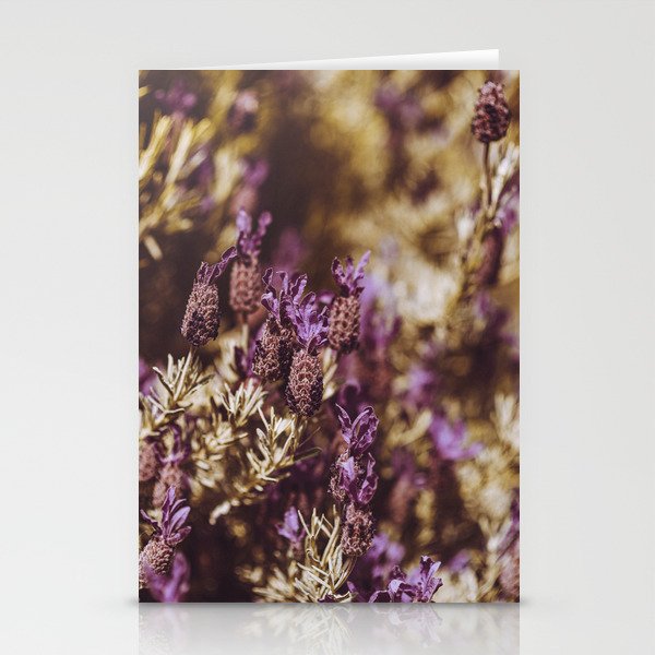 french lavender garden Stationery Cards