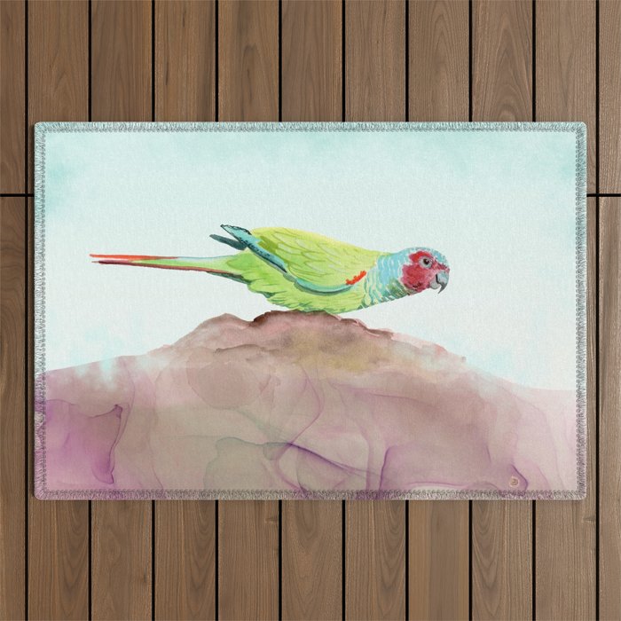 Parrot Painting - Pfrimer's Parakeet Tropical Bird Print - Nature Art for Bird Lovers  Outdoor Rug