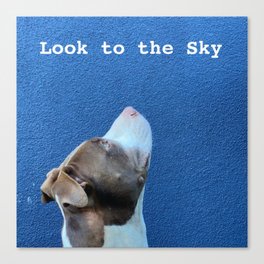 Look to the Sky Canvas Print