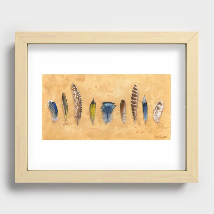 Midwest Feathers Recessed Framed Print