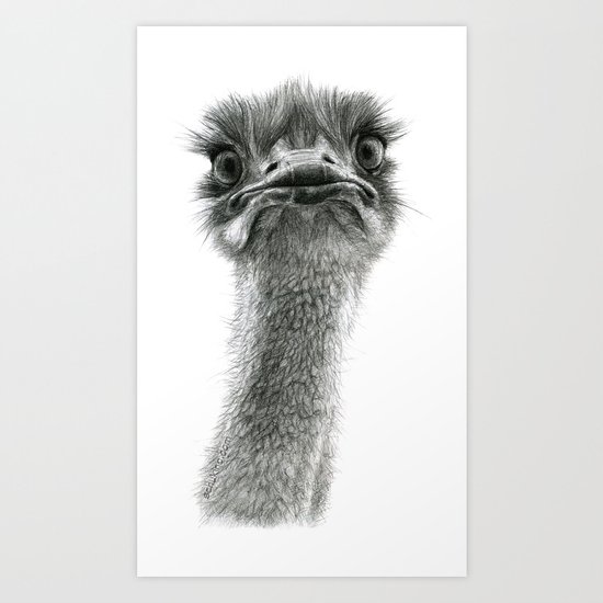 Cute Ostrich SK053 bis Art Print