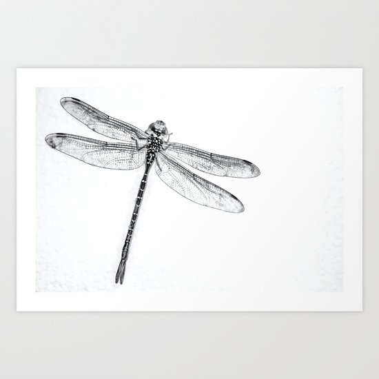 Dragonfly Art Print