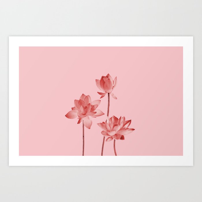 Three Lotos Flowers pink Design Art Print