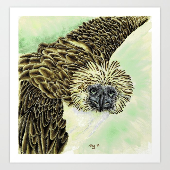 philippine eagle art