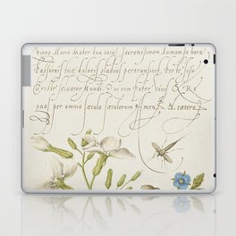 Lemon and frog vintage calligraphic art Laptop Skin
