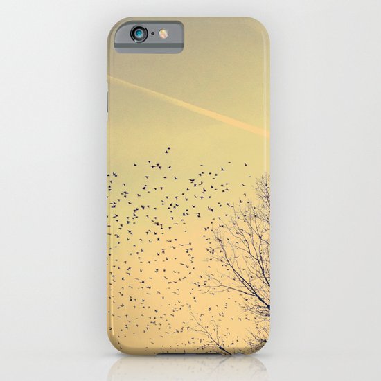 Fly iPhone & iPod Case