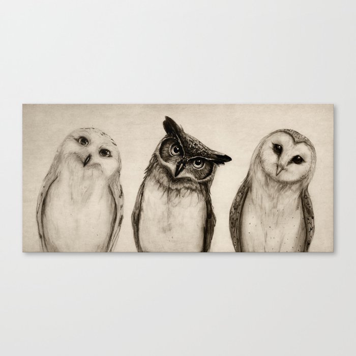 The Owl's 3 Canvas Print