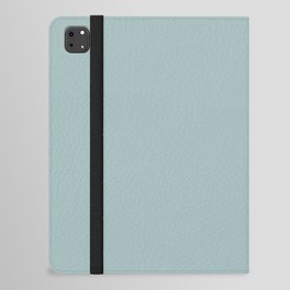 Medium Aqua Green Gray Solid Color Pantone Blue Haze 15-4707 TCX Shades of Blue-green Hues iPad Folio Case